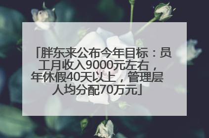 胖东来公布今年目标：员工月收入9000元左右，年休假40天以上，管理层人均分配70万元