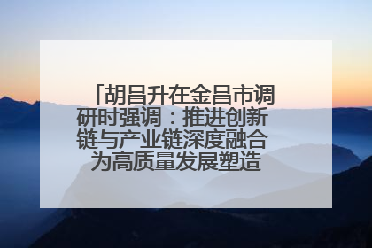 胡昌升在金昌市调研时强调：推进创新链与产业链深度融合 为高质量发展塑造新动能新优势