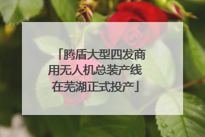 腾盾大型四发商用无人机总装产线在芜湖正式投产