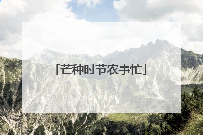 芒种时节农事忙