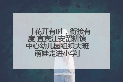 花开有时，衔接有度 宜宾江安留耕镇中心幼儿园组织大班萌娃走进小学