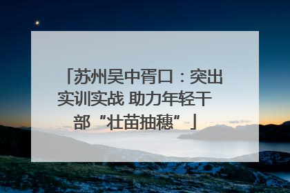 苏州吴中胥口：突出实训实战 助力年轻干部“壮苗抽穗”