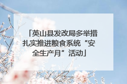英山县发改局多举措扎实推进粮食系统“安全生产月”活动