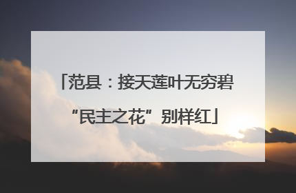 范县：接天莲叶无穷碧 “民主之花”别样红