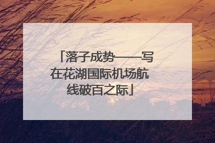 落子成势——写在花湖国际机场航线破百之际
