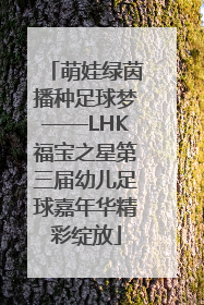 萌娃绿茵播种足球梦——LHK福宝之星第三届幼儿足球嘉年华精彩绽放