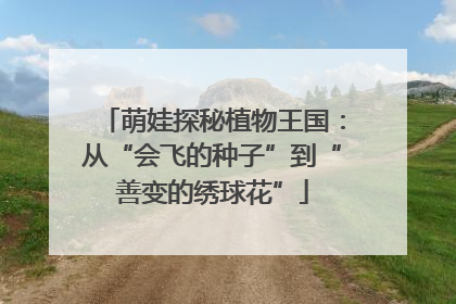 萌娃探秘植物王国：从“会飞的种子”到“善变的绣球花”