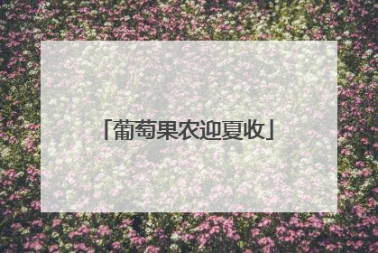 葡萄果农迎夏收