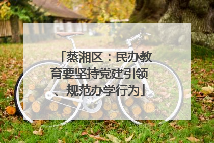 蒸湘区：民办教育要坚持党建引领、规范办学行为