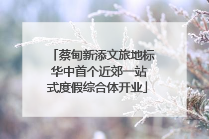 蔡甸新添文旅地标 华中首个近郊一站式度假综合体开业