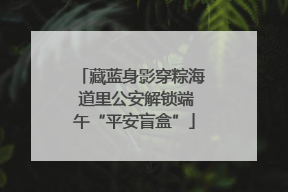 藏蓝身影穿粽海 道里公安解锁端午“平安盲盒”