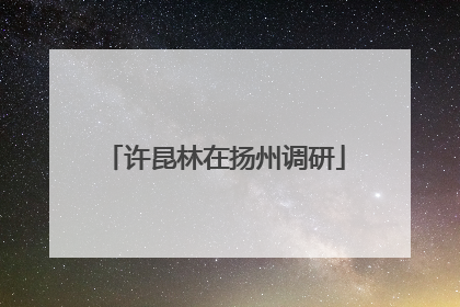 许昆林在扬州调研