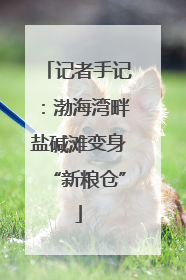记者手记：渤海湾畔盐碱滩变身“新粮仓”