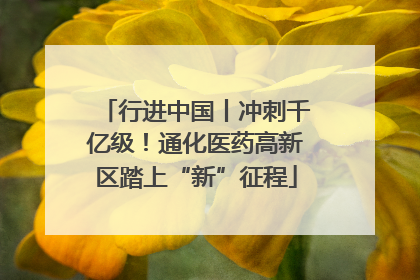 行进中国丨冲刺千亿级！通化医药高新区踏上“新”征程