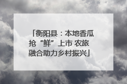 衡阳县：本地香瓜抢“鲜”上市 农旅融合助力乡村振兴