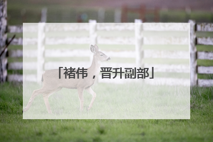 褚伟，晋升副部