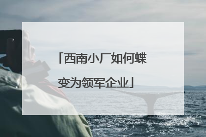 西南小厂如何蝶变为领军企业