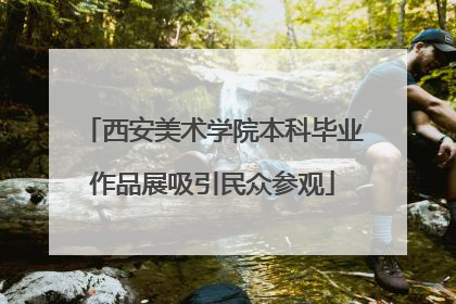 西安美术学院本科毕业作品展吸引民众参观
