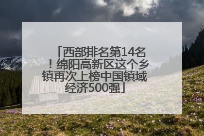 西部排名第14名！绵阳高新区这个乡镇再次上榜中国镇域经济500强