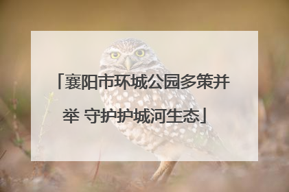 襄阳市环城公园多策并举 守护护城河生态