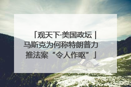 观天下·美国政坛｜马斯克为何称特朗普力推法案“令人作呕”