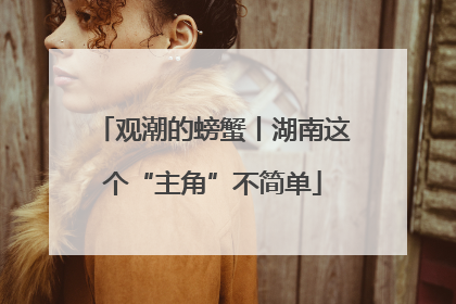 观潮的螃蟹丨湖南这个“主角”不简单