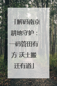 解码南京耕地守护：一码管田有方 沃土搬迁有道