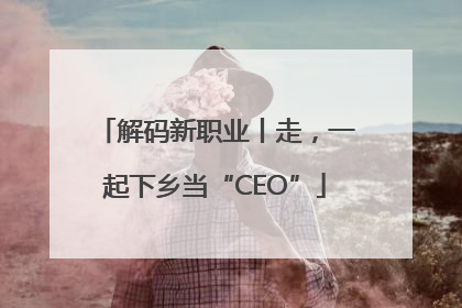 解码新职业丨走，一起下乡当“CEO”