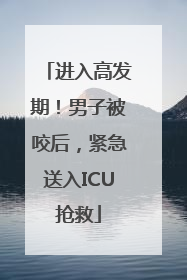 进入高发期！男子被咬后，紧急送入ICU抢救