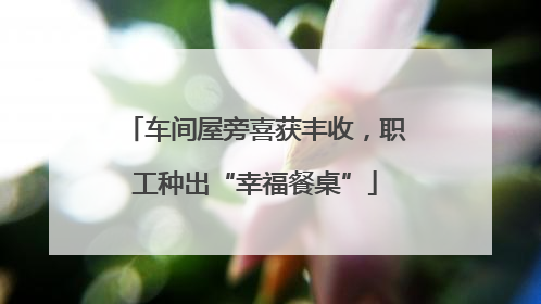 车间屋旁喜获丰收，职工种出“幸福餐桌”