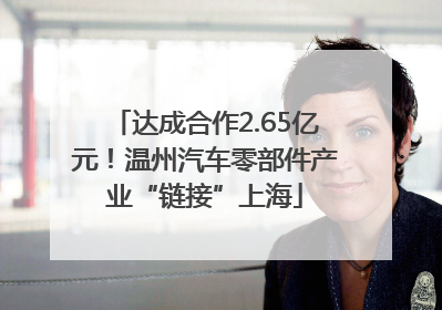 达成合作2.65亿元！温州汽车零部件产业“链接”上海