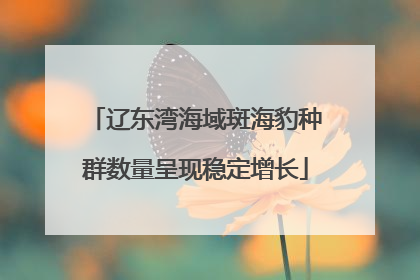 辽东湾海域斑海豹种群数量呈现稳定增长