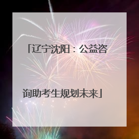 辽宁沈阳：公益咨询助考生规划未来