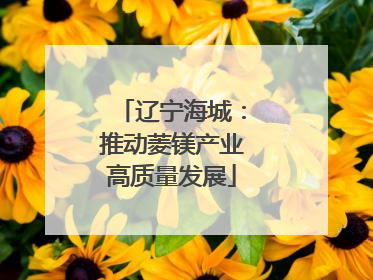 辽宁海城：推动菱镁产业高质量发展