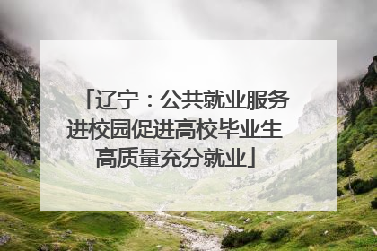 辽宁：公共就业服务进校园促进高校毕业生高质量充分就业