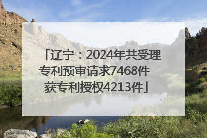 辽宁：2024年共受理专利预审请求7468件 获专利授权4213件
