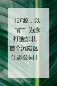 辽源：以“矿”为脉 打造东北首个沉陷区生态公园