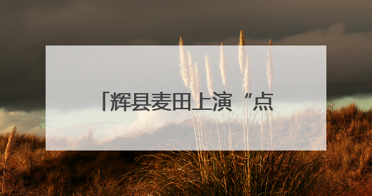 辉县麦田上演“点草成金” 秸秆发电点亮万家灯火