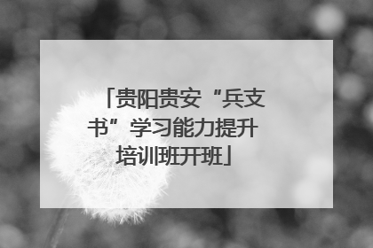 贵阳贵安“兵支书”学习能力提升培训班开班