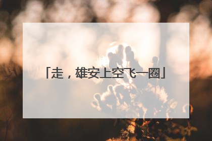 走，雄安上空飞一圈