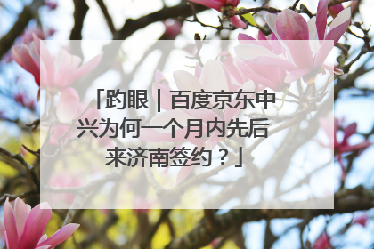 趵眼｜百度京东中兴为何一个月内先后来济南签约？