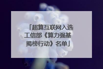 超算互联网入选工信部《算力强基揭榜行动》名单