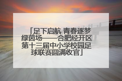 足下启航 青春逐梦绿茵场——合肥经开区第十三届中小学校园足球联赛圆满收官
