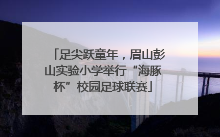 足尖跃童年，眉山彭山实验小学举行“海豚杯”校园足球联赛