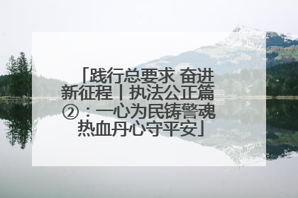 践行总要求 奋进新征程丨执法公正篇②：一心为民铸警魂 热血丹心守平安