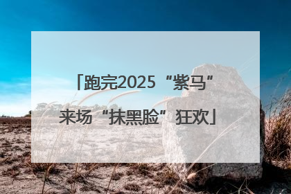 跑完2025“紫马” 来场“抹黑脸”狂欢