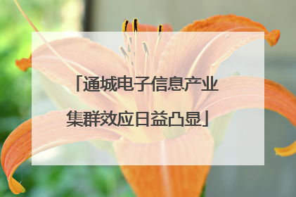 通城电子信息产业集群效应日益凸显