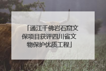 通江千佛岩石窟文保项目获评四川省文物保护优质工程