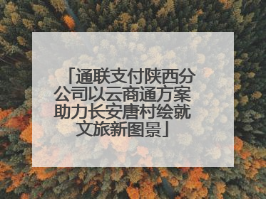 通联支付陕西分公司以云商通方案助力长安唐村绘就文旅新图景