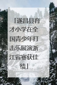 遂昌县育才小学在全国青少年打击乐展演浙江省赛获佳绩